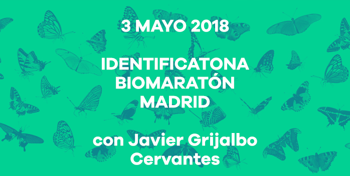 Participa en la Identificatona, fiesta final de la Biomaratón Madrid, con la presencia de Javier Grijalbo Cervantes