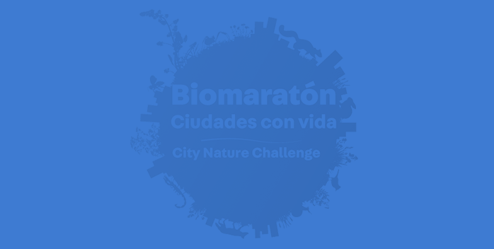 Madrid, Barcelona y Cádiz encabezan la clasificación europea del City Nature Challenge con más de 15.000 observaciones