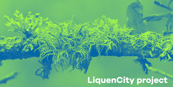 Students from Madrid and Barcelona will determine the air quality through the study of lichens