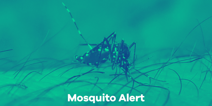Mosquito Alert comparte datos de ciudadanos científicos a través de GBIF