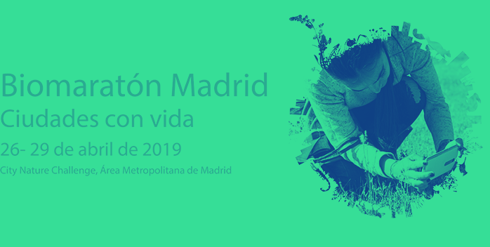 Biomaratón Madrid 2019