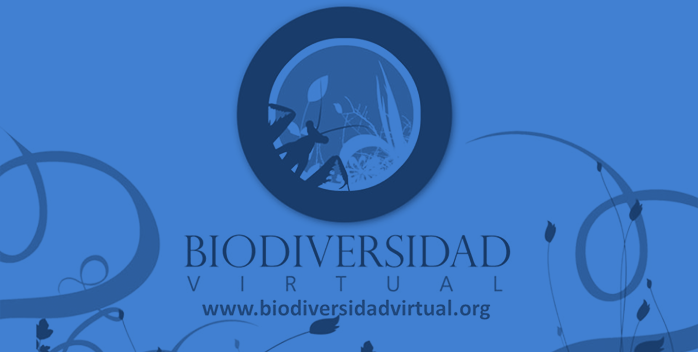 La Asociación Fotografía y Biodiversidad, nueva proveedora de datos de GBIF España