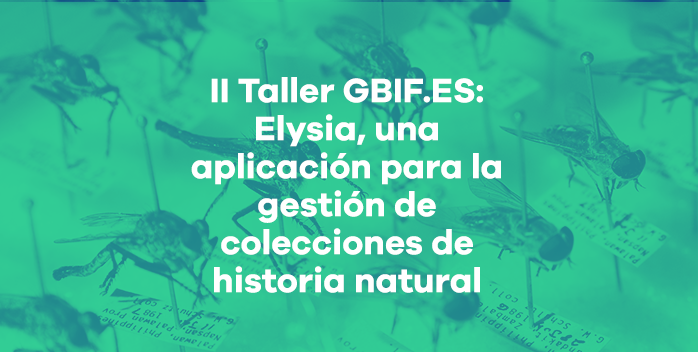Abierto el periodo de inscripción para apuntarse al II Taller GBIF.ES: Elysia, una aplicación para la gestión de colecciones de historia natural