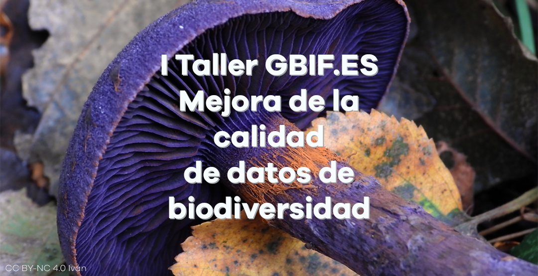 Abierta la inscripción para el I Taller GBIF.ES: Mejora de la calidad de datos de biodiversidad