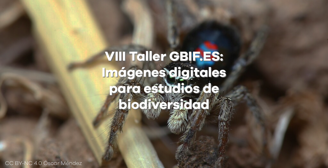 VIII Taller GBIF.ES: Imágenes digitales para estudios de biodiversidad - Nueva convocatoria