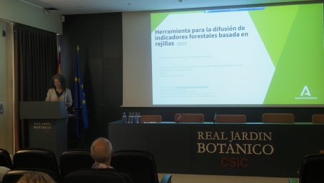 Yolanda Gil, de REDIAM, abre el bloque sobre aplicaciones de AI y ciencia de datos con una herramienta de explotación de la información forestal basada en rejillas