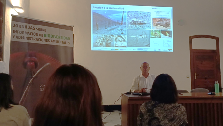 Félix Manuel Medina. Cabildo de La Palma: Programas de seguimiento de la biodiversidad afectada por la erupción del Tajogaite