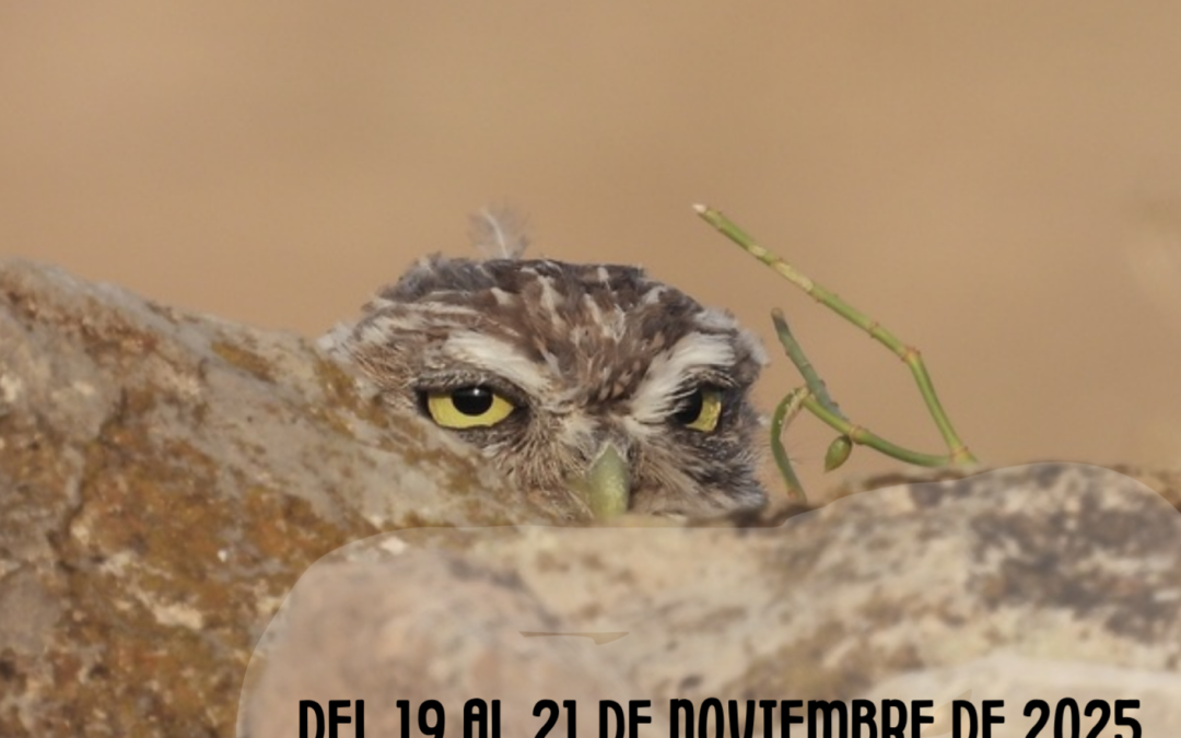 Jornadas sobre Información de Biodiversidad y Administraciones Ambientales 2025 en Zaragoza