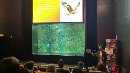 Diego Domínguez Loeches: 