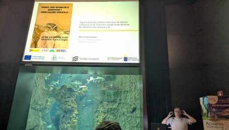 Manuel Arechavaleta: 