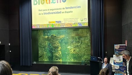 Maria Begoña García: 