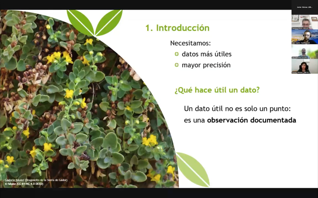 Disponible el vídeo del Webinar GBIF.ES: Datos de biodiversidad más útiles para la investigación y la conservación