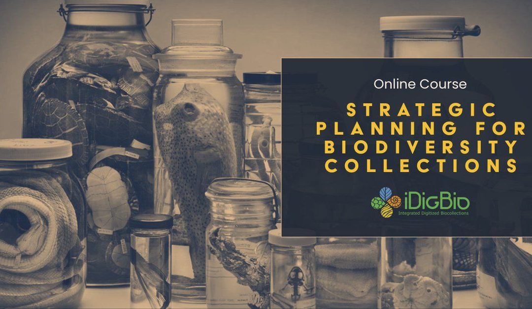 iDigBio abre la inscripción a un curso online gratuito de planificación estratégica para colecciones biológicas